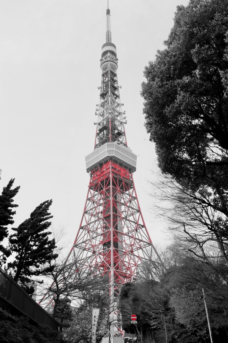 f:id:ornith:20170409173950j:plain f:id:ornith:20170409173950j:plain