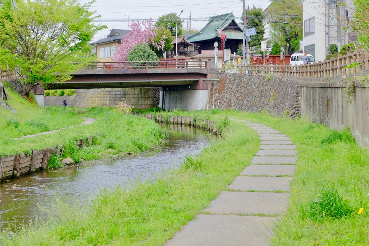 f:id:ornith:20170515182454j:plain