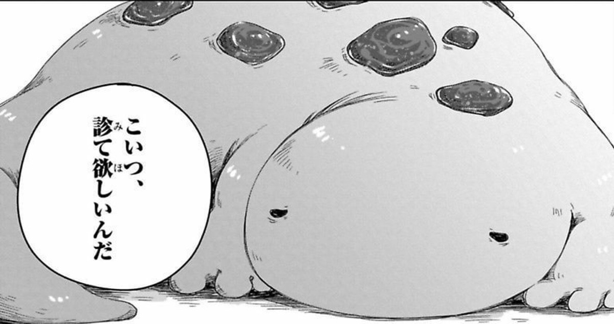 わたしと先生の幻獣診療録 1巻 感想6