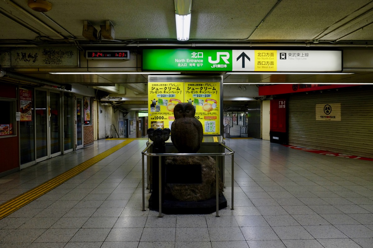 f:id:ornith:20170705173524j:plain f:id:ornith:20170705173524j:plain