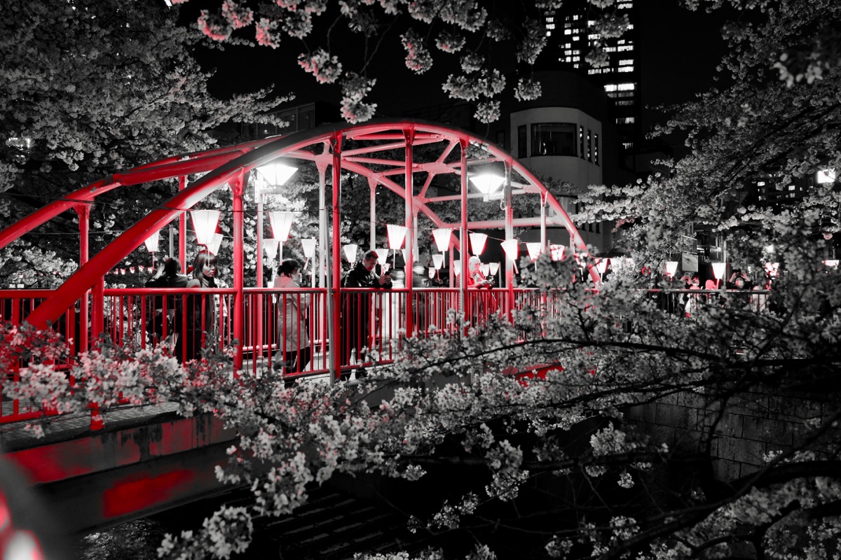 f:id:ornith:20170705173537j:plain f:id:ornith:20170705173537j:plain