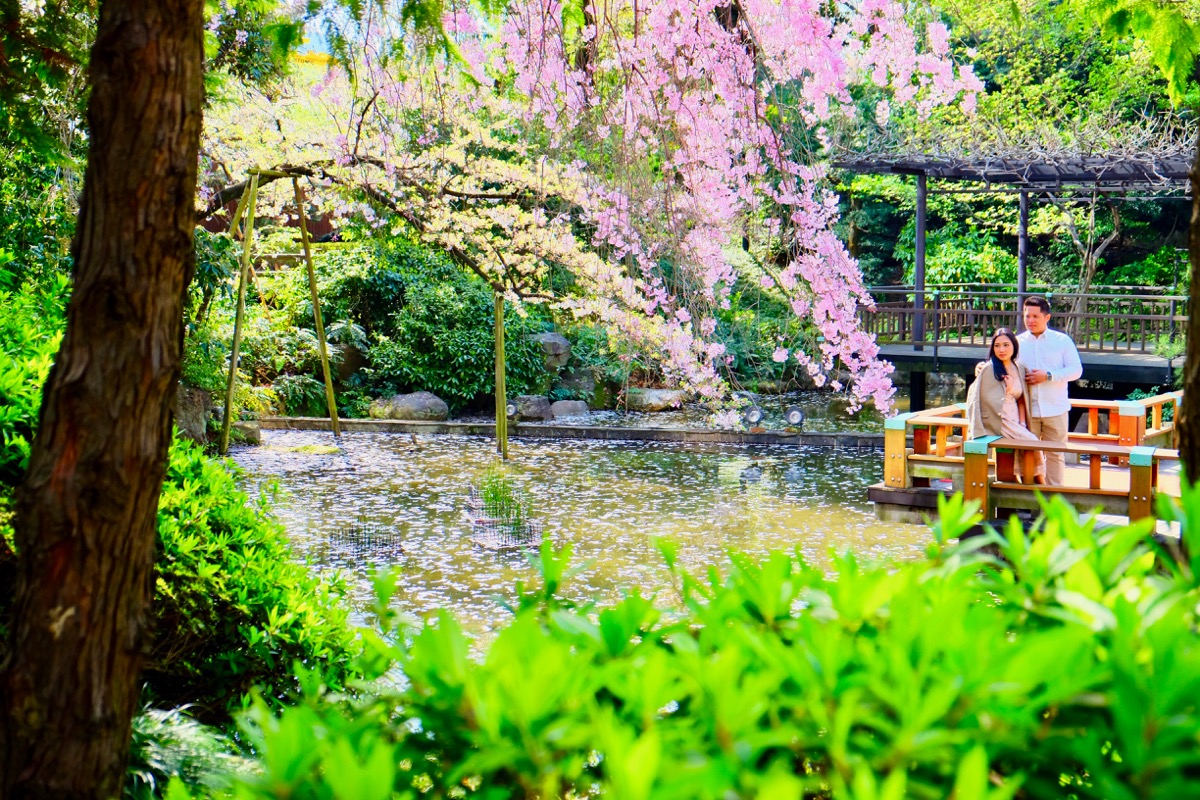 f:id:ornith:20170705173538j:plain f:id:ornith:20170705173538j:plain