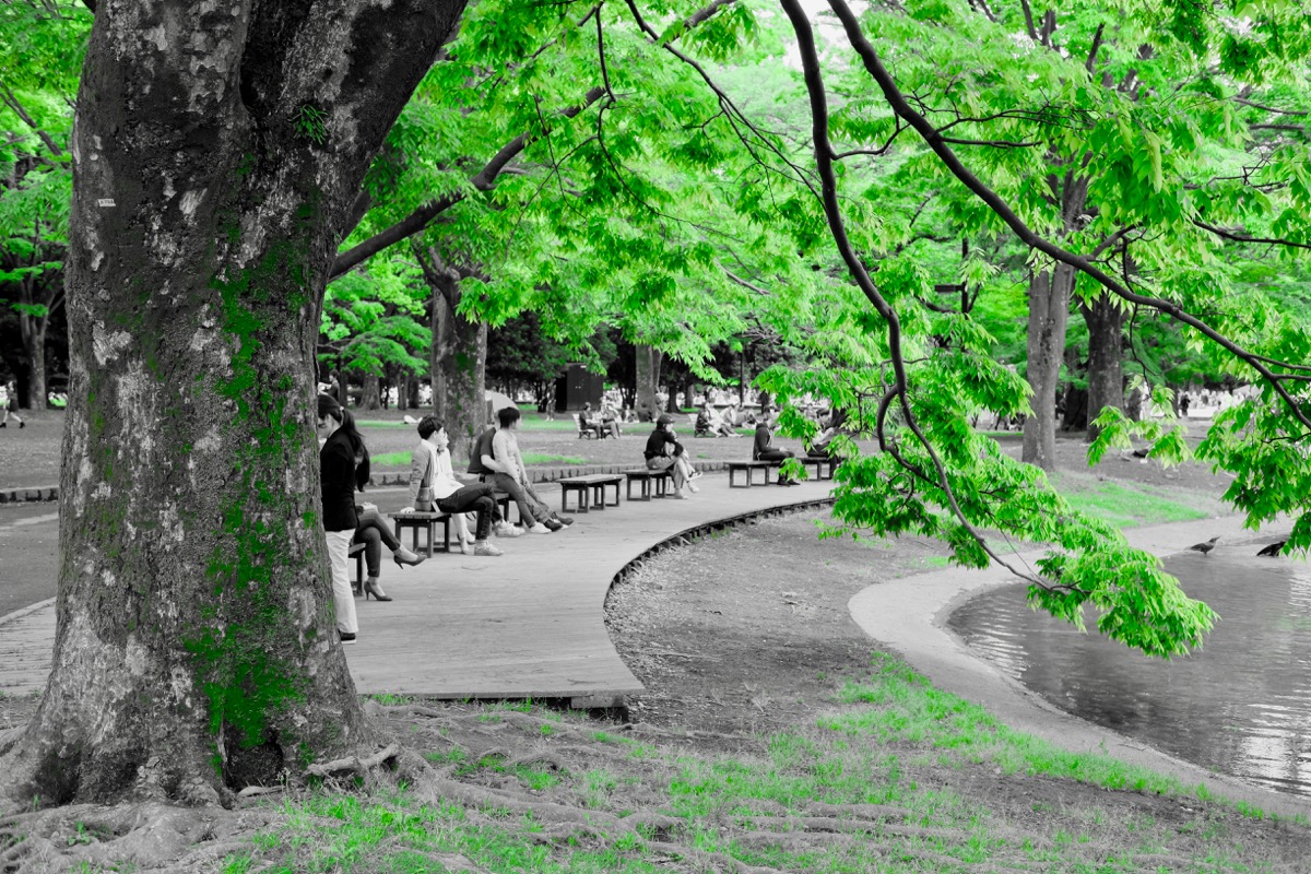 f:id:ornith:20170705173600j:plain f:id:ornith:20170705173600j:plain