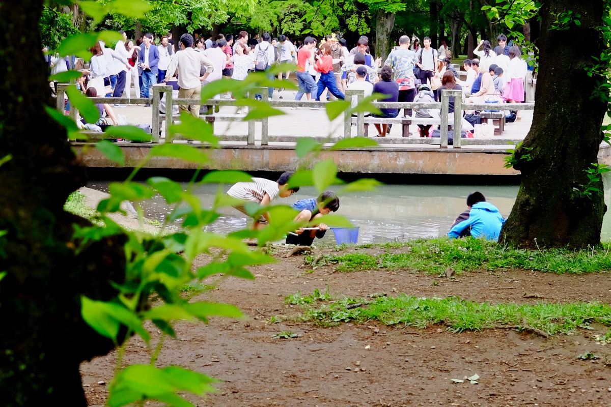 f:id:ornith:20170705173601j:plain f:id:ornith:20170705173601j:plain