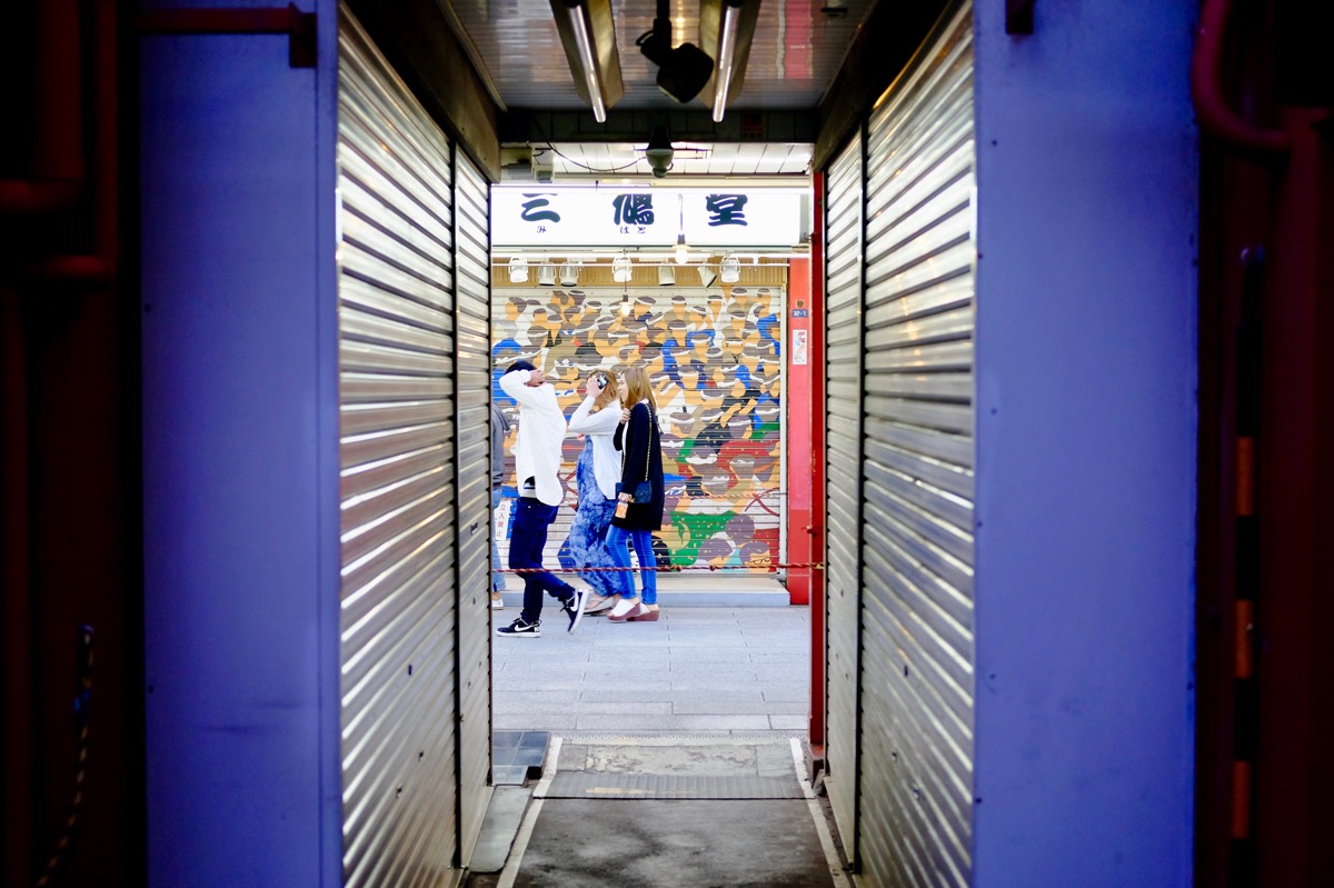 f:id:ornith:20170705173619j:plain f:id:ornith:20170705173619j:plain