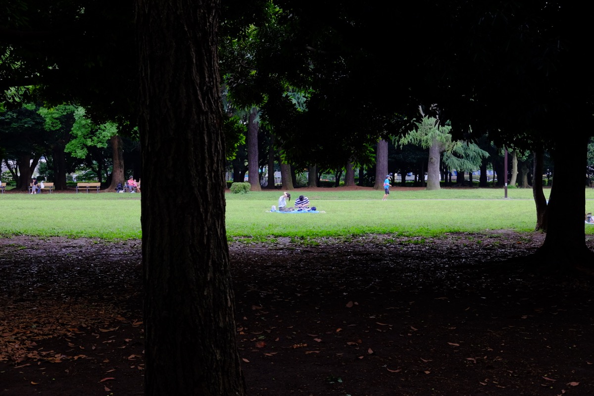 f:id:ornith:20170705173627j:plain f:id:ornith:20170705173627j:plain