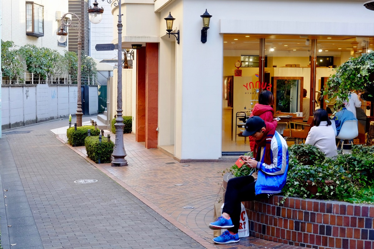 f:id:ornith:20171224102226j:plain