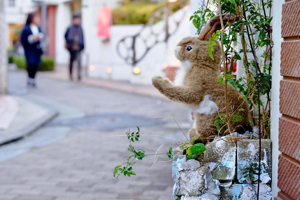 f:id:ornith:20171224102227j:plain