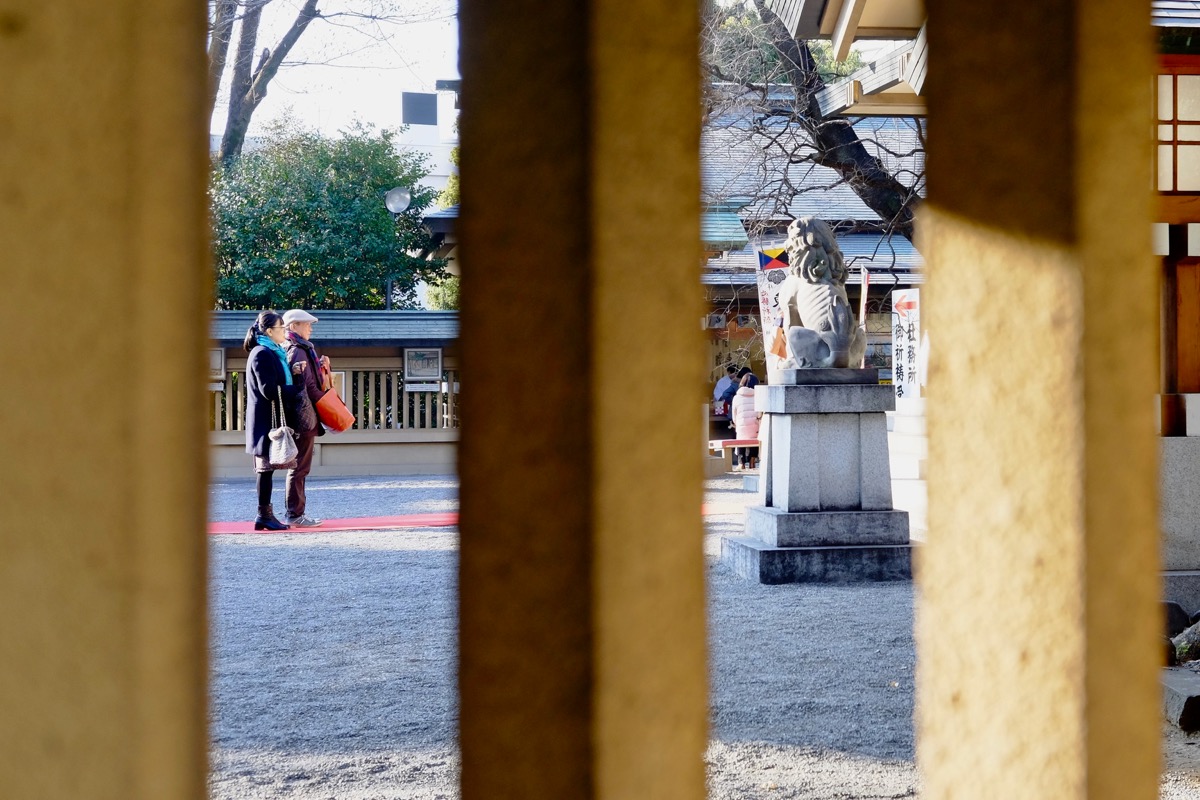 f:id:ornith:20171224102228j:plain