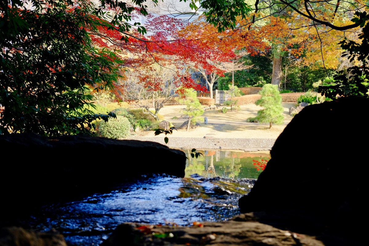 f:id:ornith:20171224102230j:plain