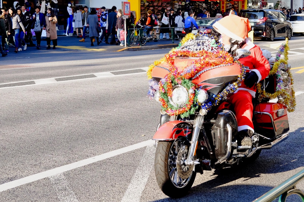 f:id:ornith:20171224102231j:plain