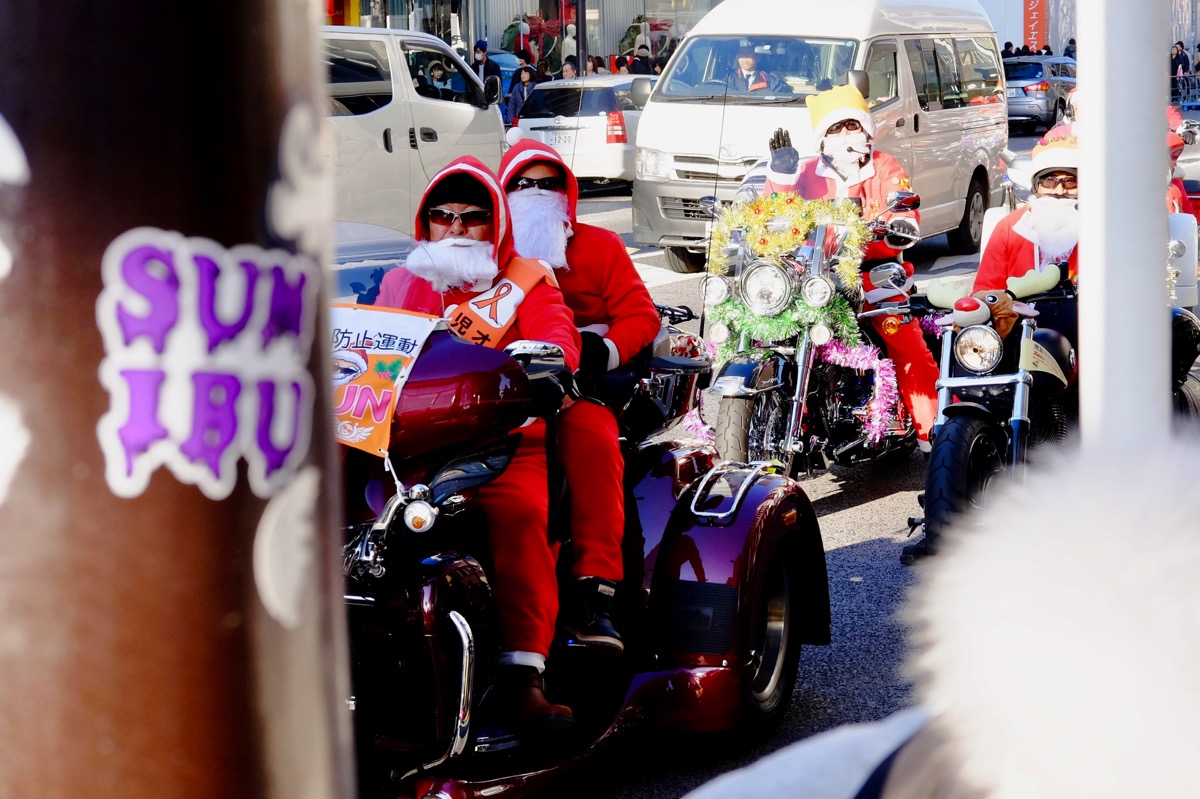 f:id:ornith:20171224102232j:plain