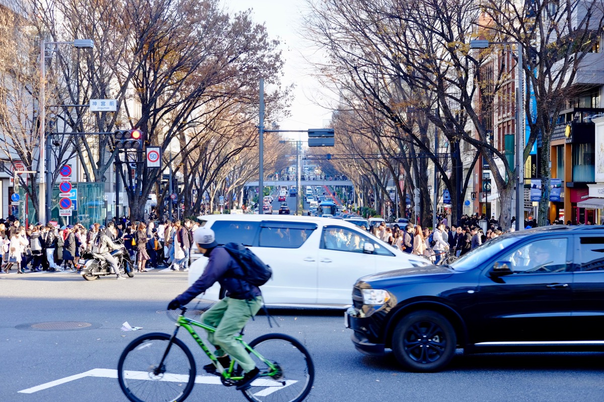 f:id:ornith:20171224102233j:plain