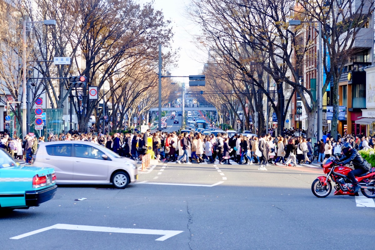 f:id:ornith:20171224102234j:plain