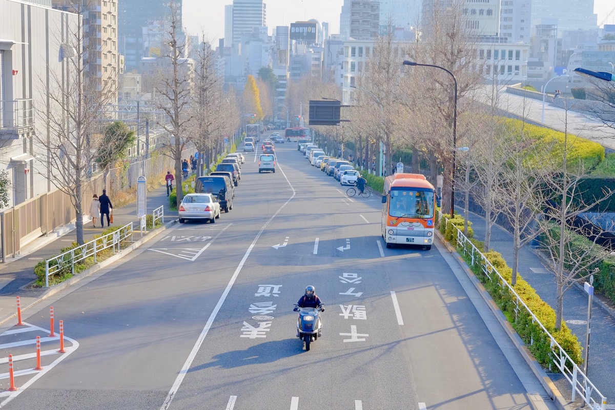 f:id:ornith:20171224102237j:plain