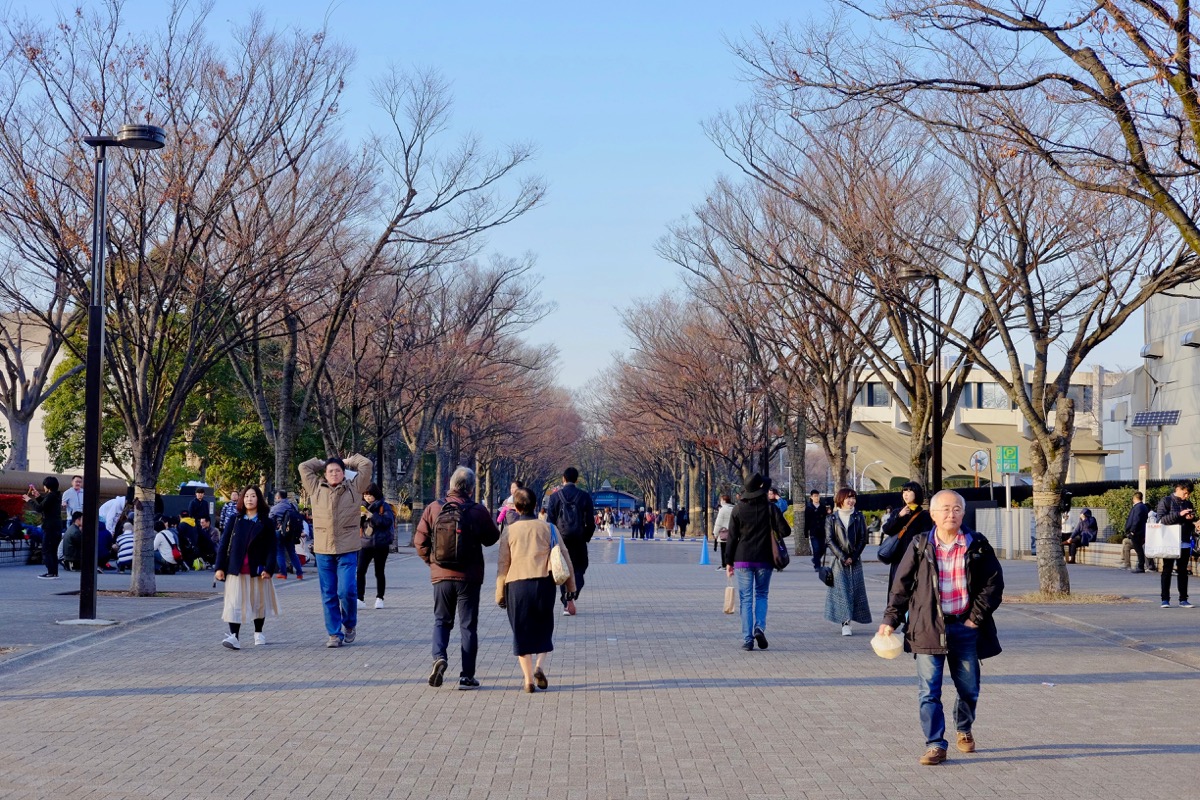 f:id:ornith:20171224102240j:plain