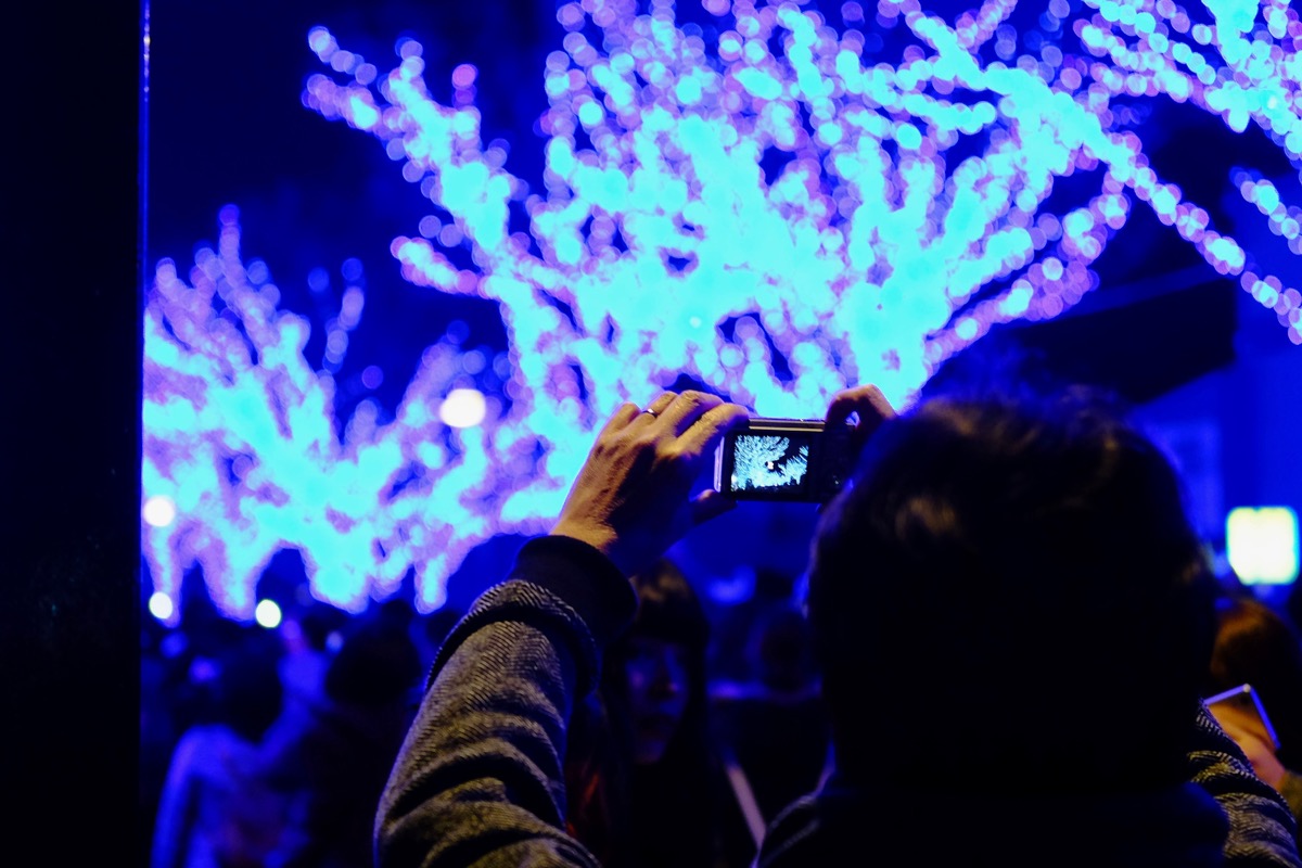 f:id:ornith:20171224102245j:plain