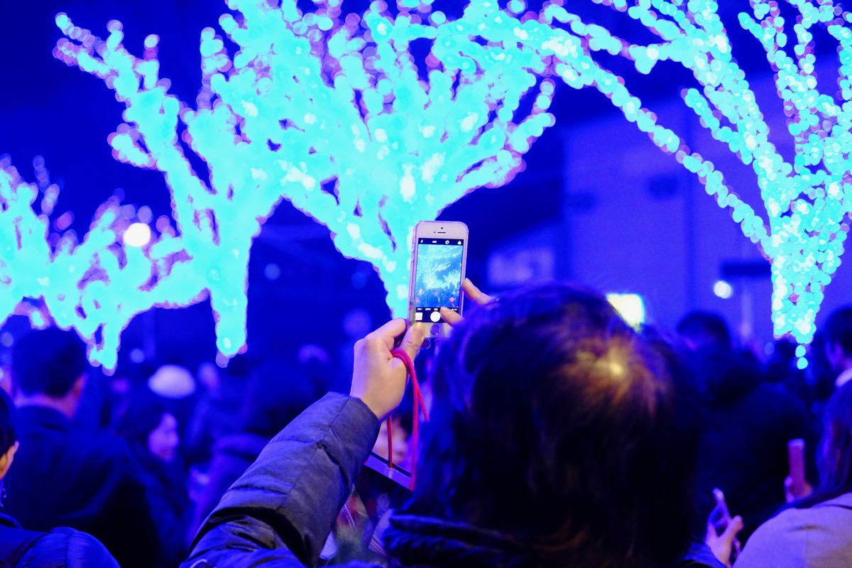 f:id:ornith:20171224102246j:plain