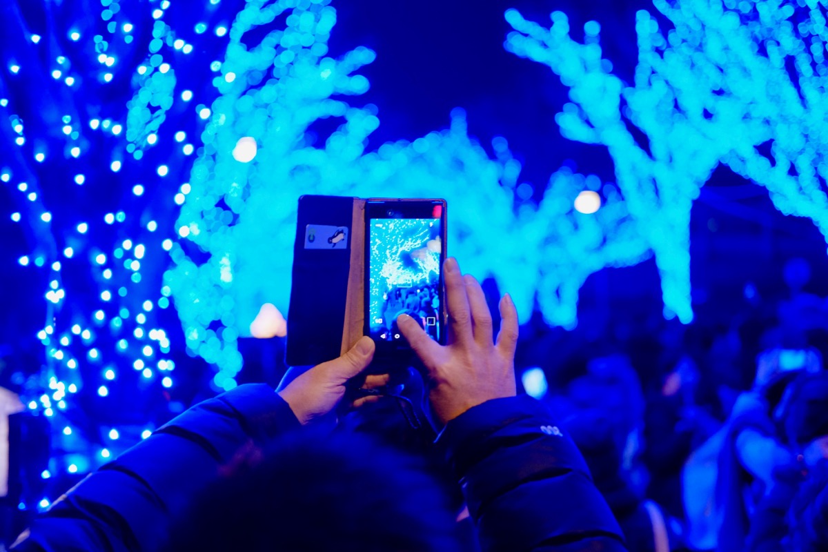 f:id:ornith:20171224102247j:plain