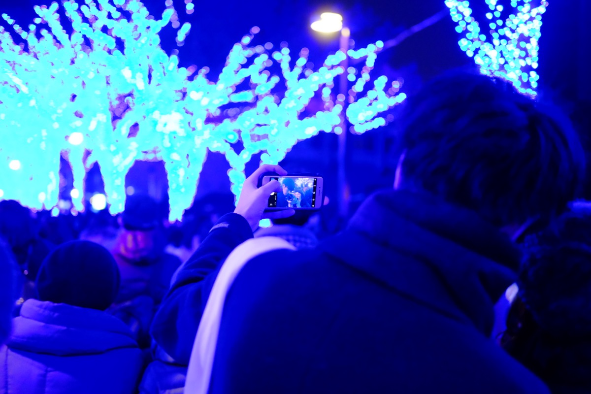 f:id:ornith:20171224102253j:plain