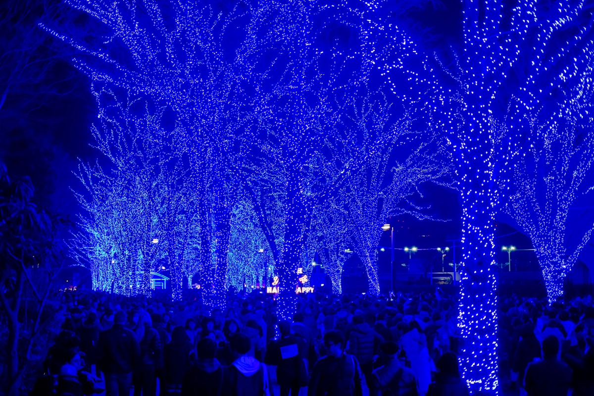 f:id:ornith:20171224102257j:plain