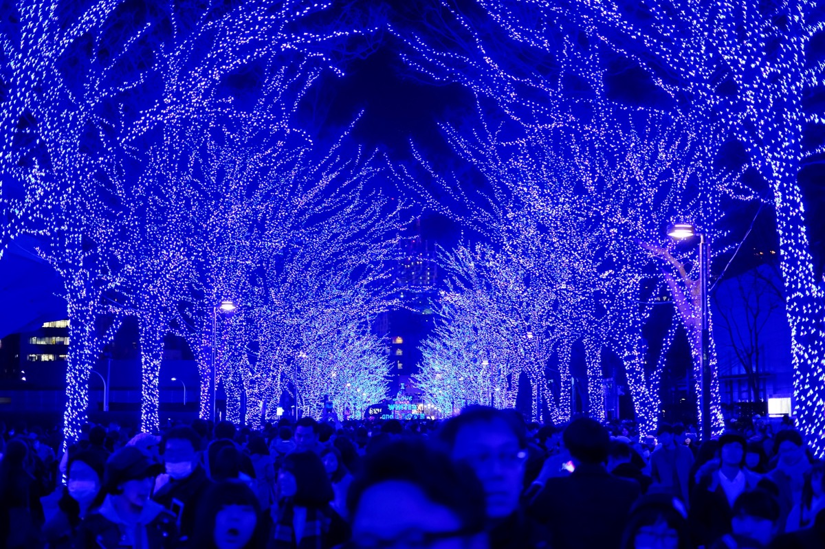 f:id:ornith:20171224102259j:plain