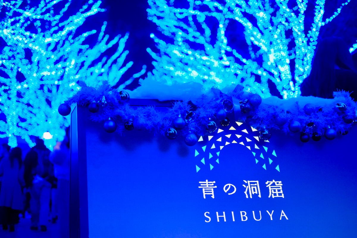 f:id:ornith:20171224102301j:plain