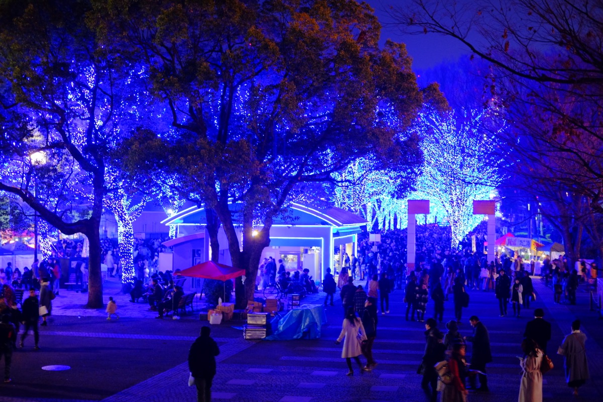 f:id:ornith:20171224102302j:plain