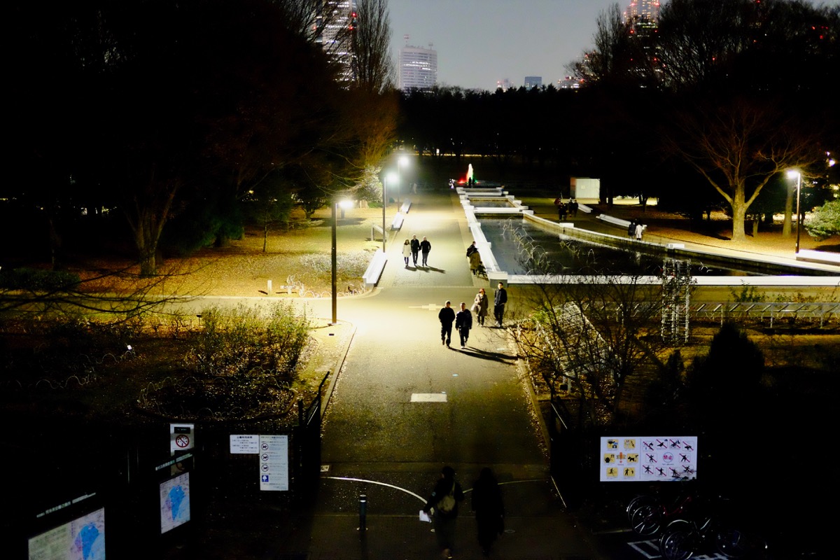 f:id:ornith:20171224102304j:plain