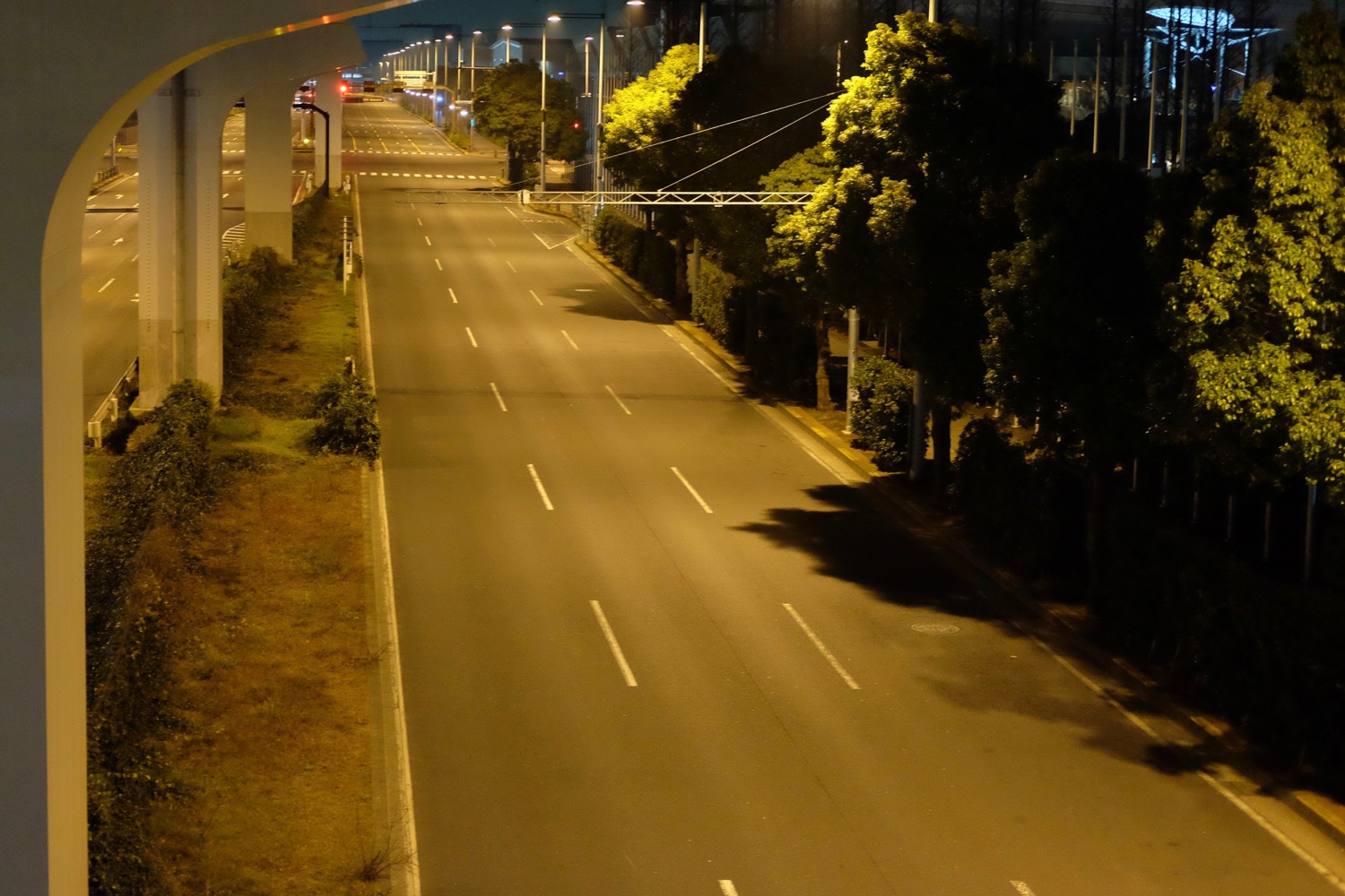 夜の国際展示場前の道路1