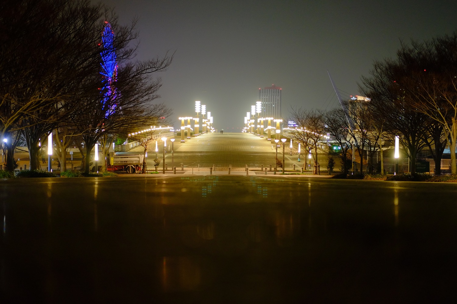 夜の「夢の大橋」遠景