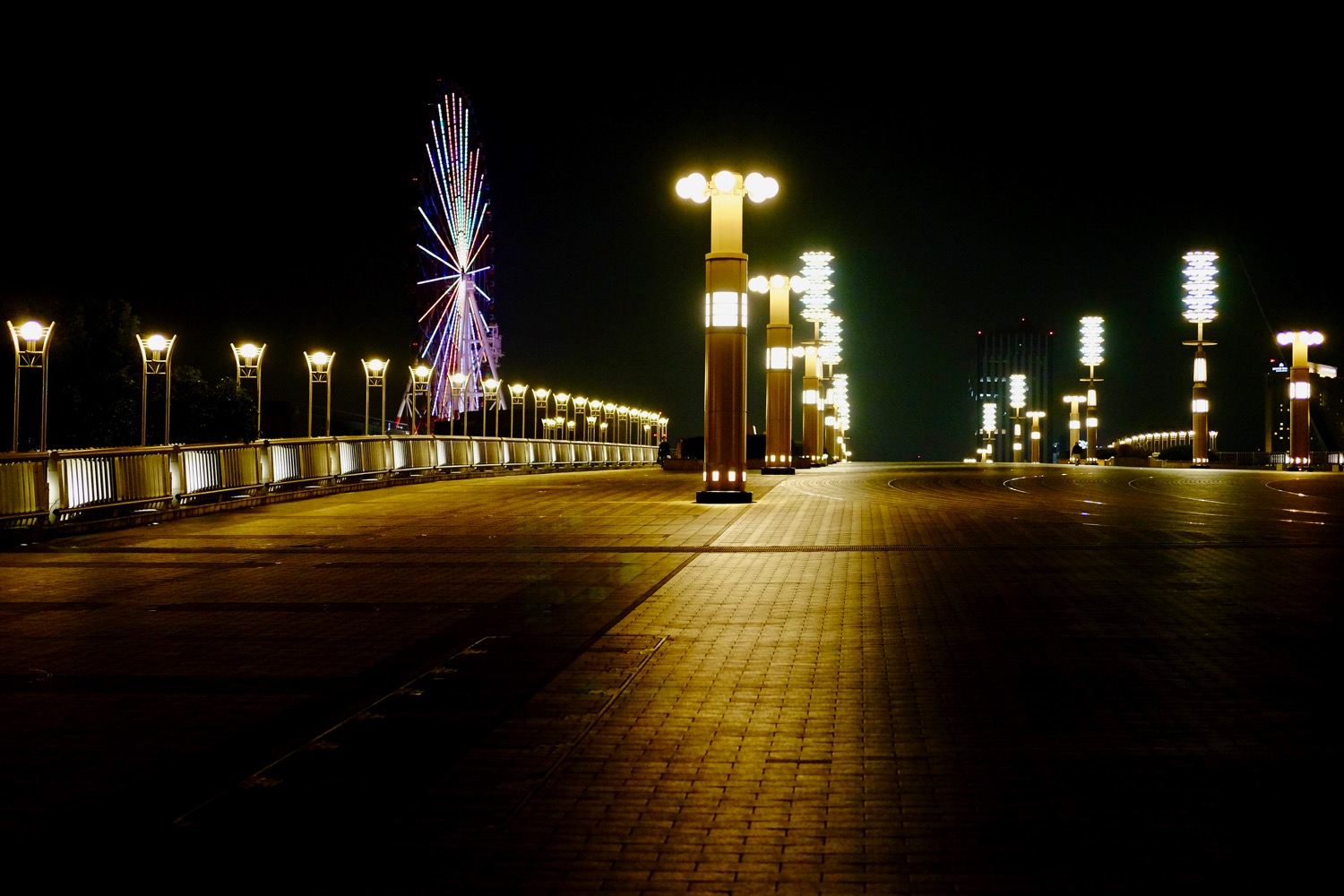 夜の夢の大橋1