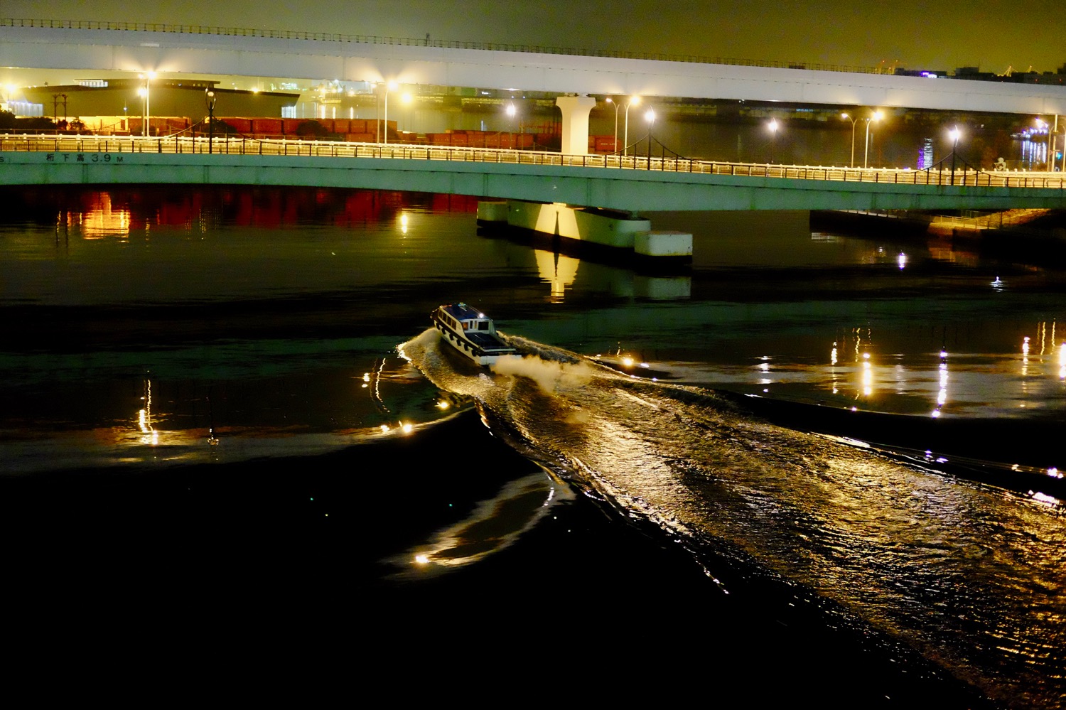 夜の夢の大橋から見える景色3