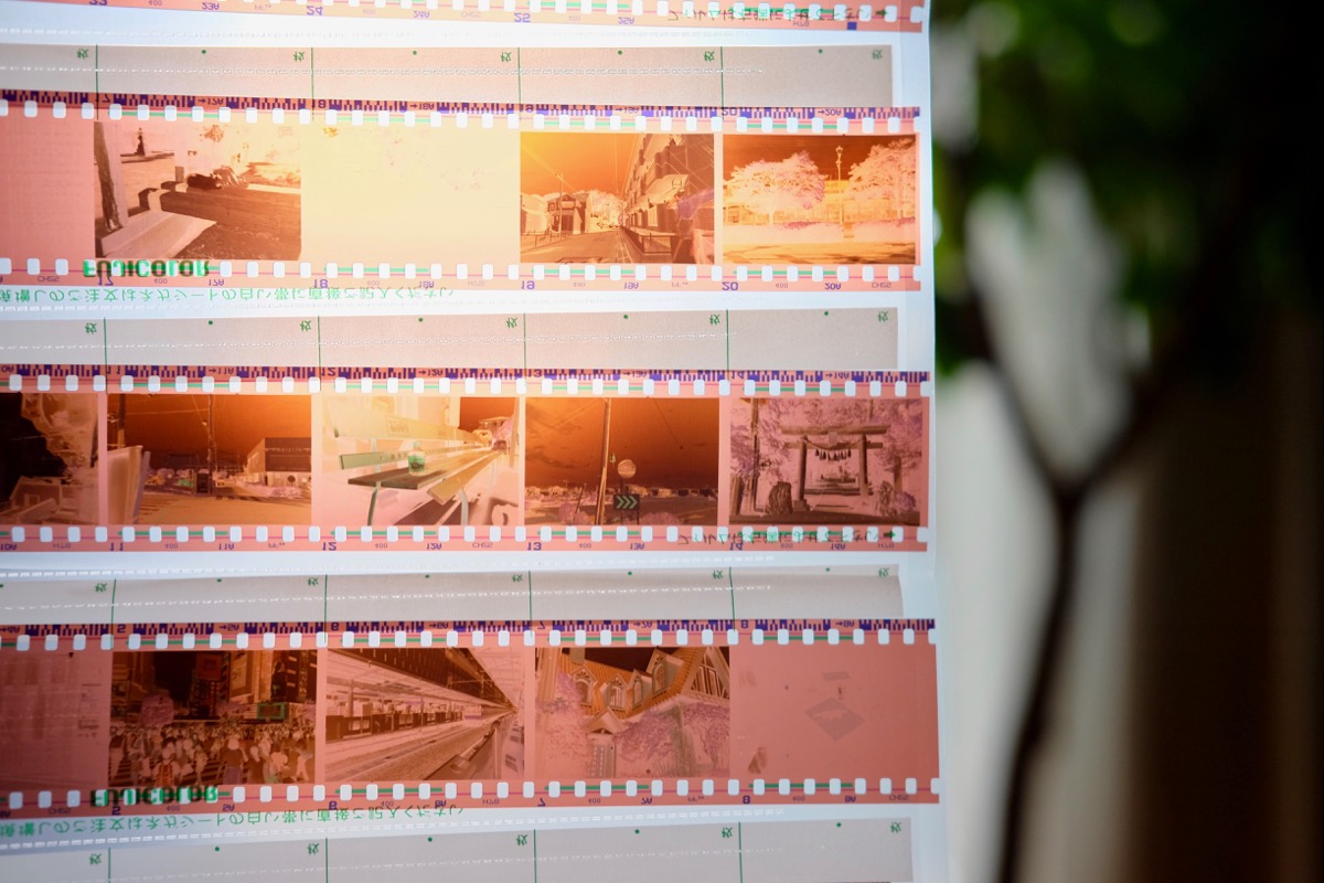 ネガフィルム（写ルンですとミラーレス一眼を比較）