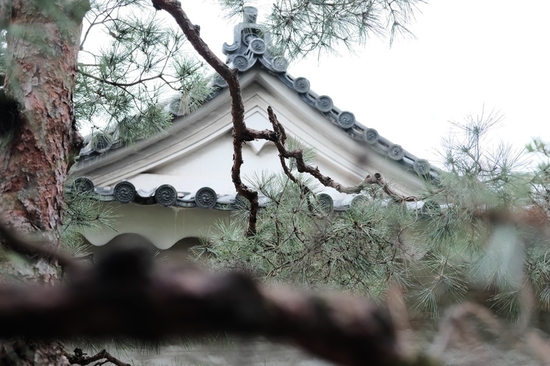 二条城③ 二条城③