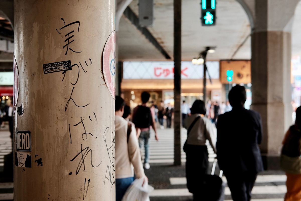 f:id:ornith:20190523184703j:plain