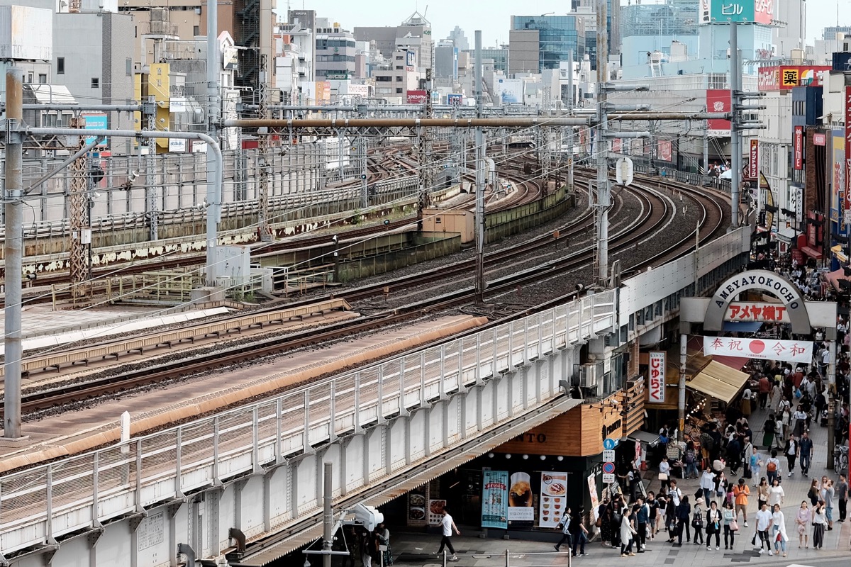 f:id:ornith:20190523184706j:plain