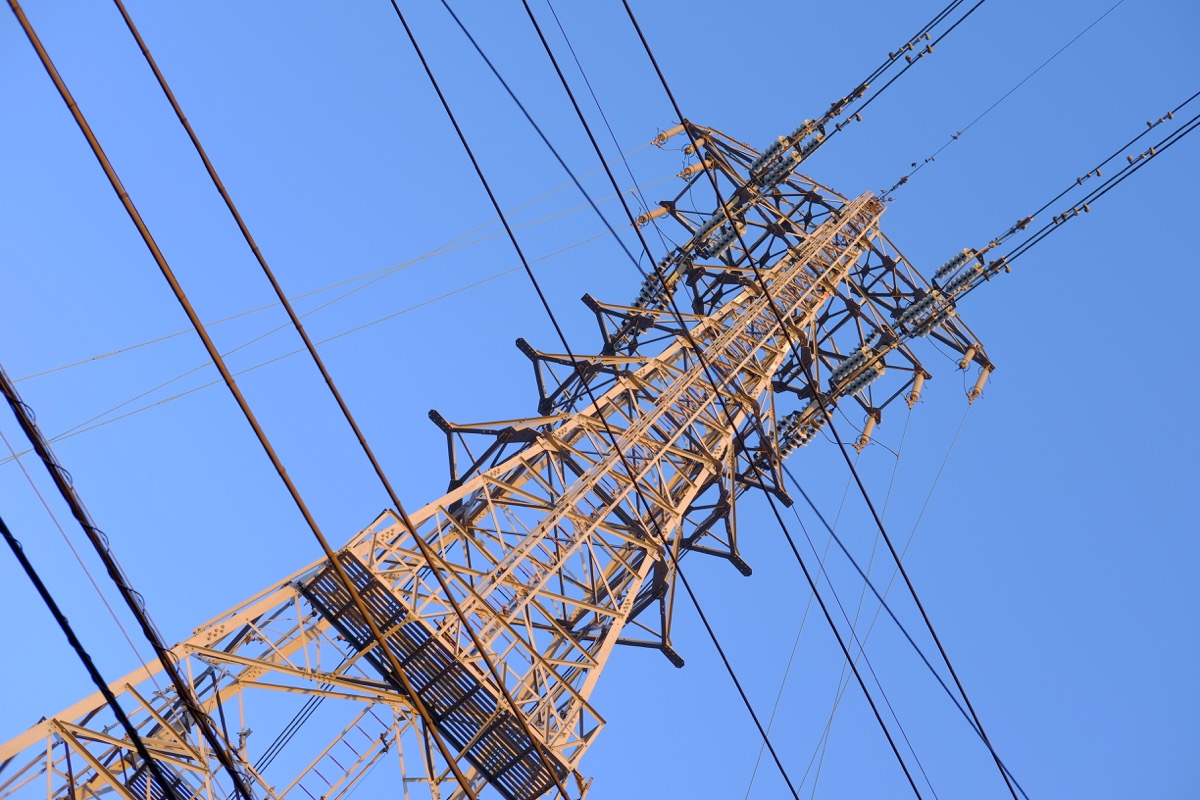 f:id:ornith:20190706163031j:plain