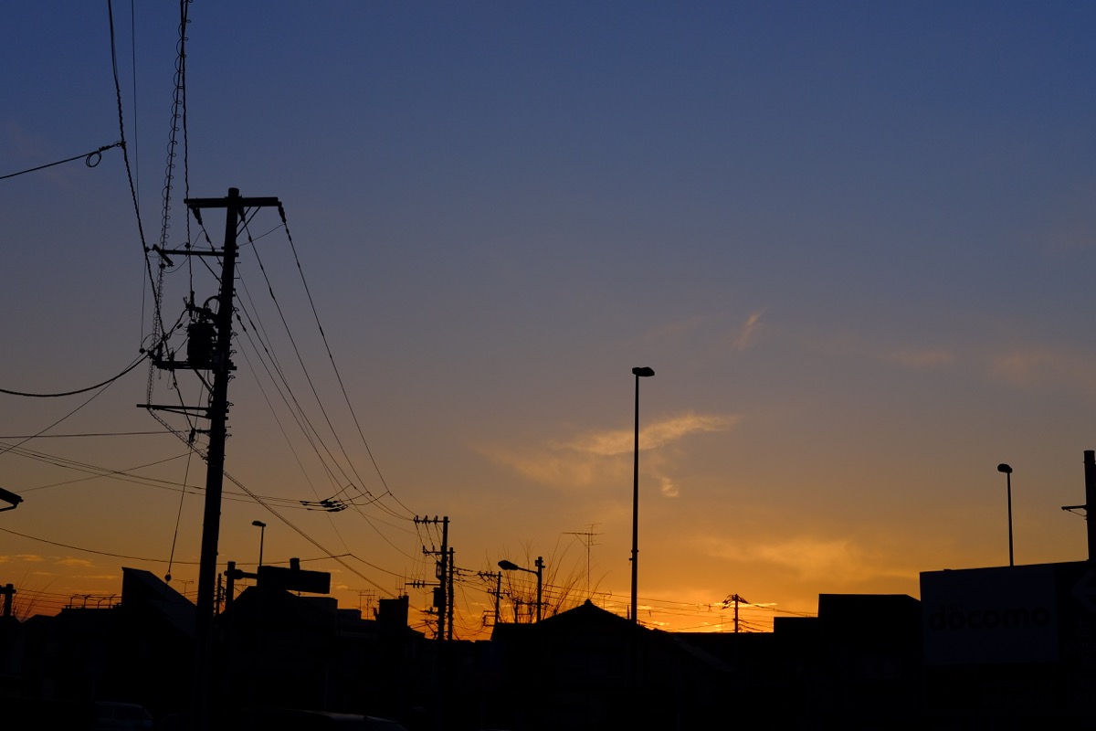 f:id:ornith:20190706163036j:plain