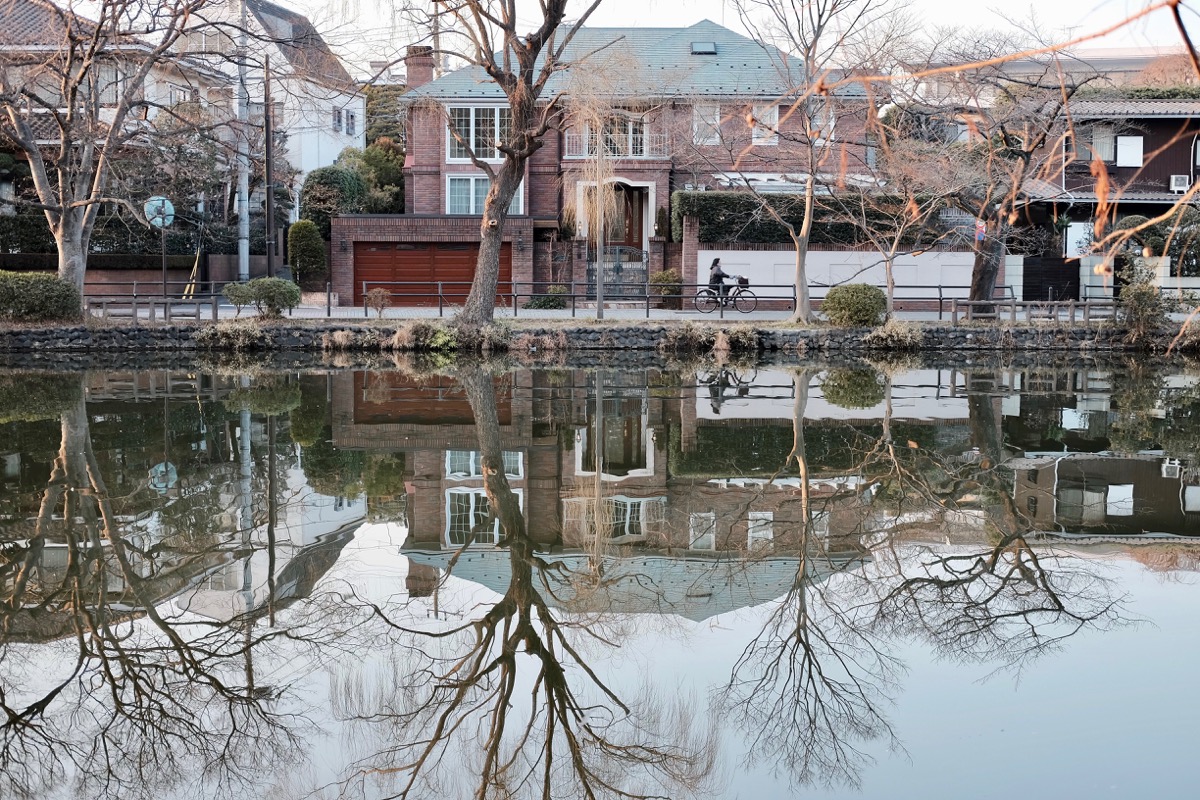 f:id:ornith:20190706163052j:plain