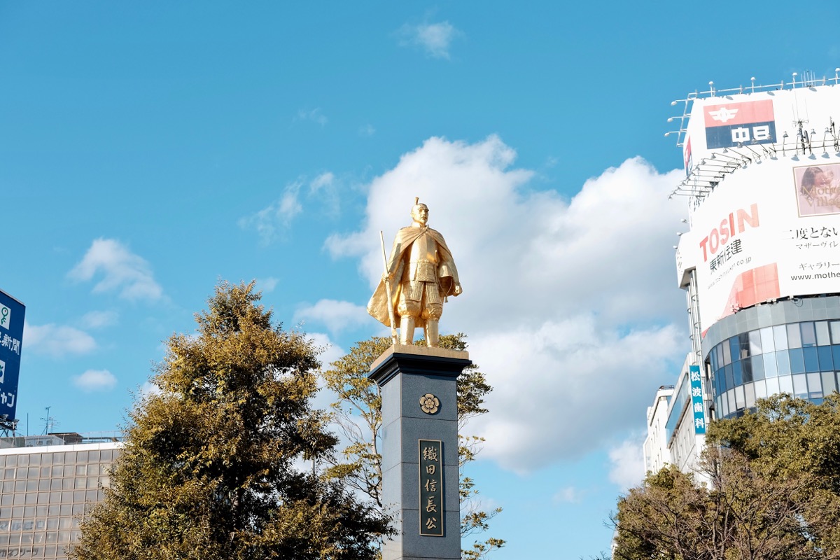 f:id:ornith:20190706163058j:plain