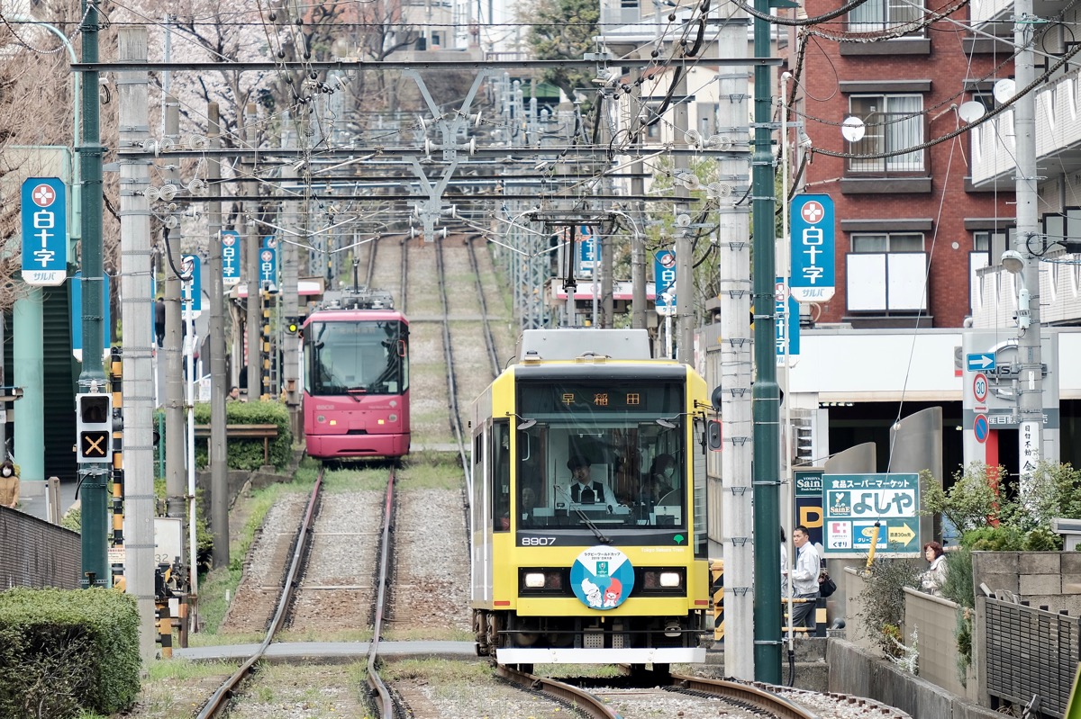 f:id:ornith:20190706163200j:plain