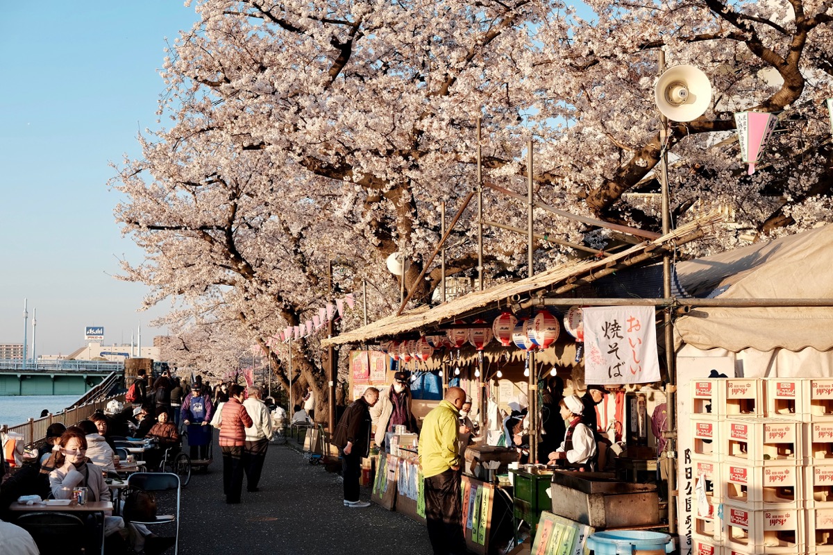 f:id:ornith:20190706163220j:plain