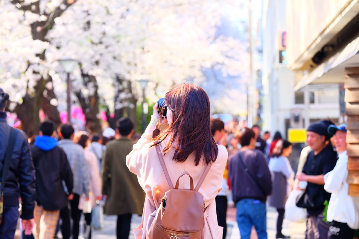 f:id:ornith:20190706163251j:plain