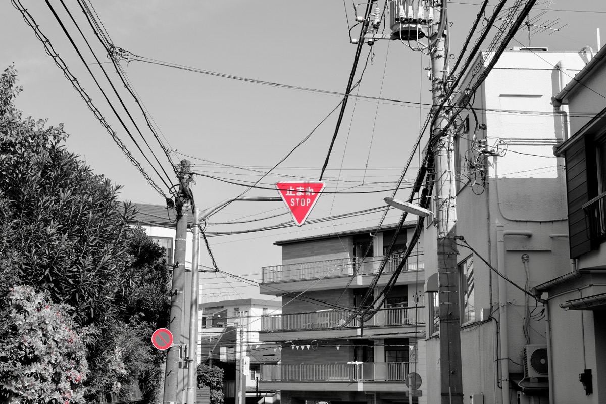 f:id:ornith:20190706163411j:plain