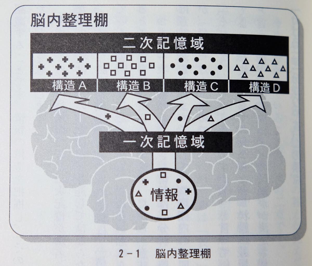 藤沢晃治著『「分かりやすい表現」の技術』より「脳内整理棚」