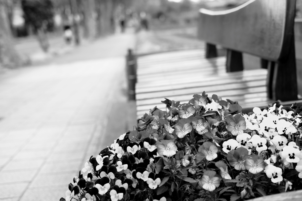 近所のベンチと花壇