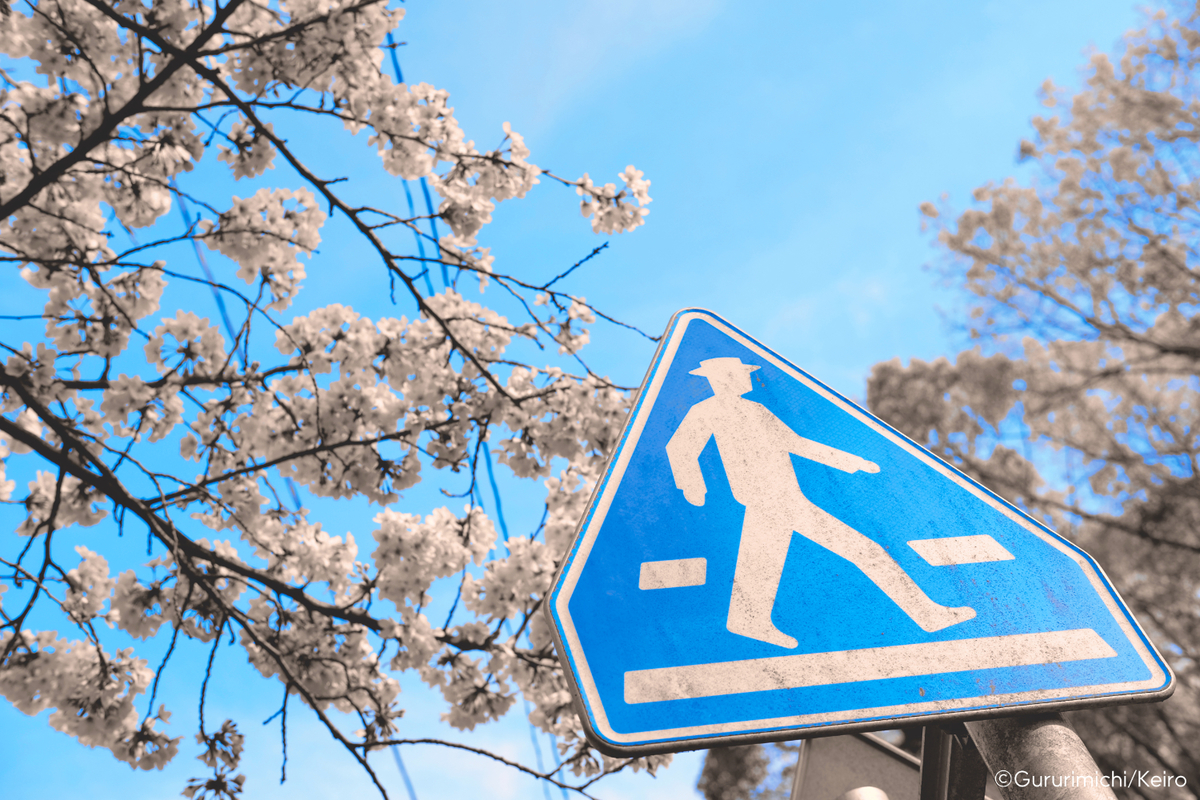 f:id:ornith:20210324155208j:plain