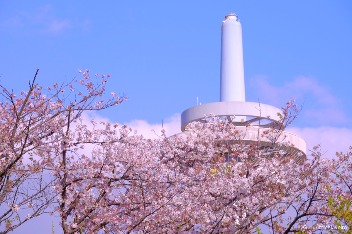 f:id:ornith:20210403161945j:plain