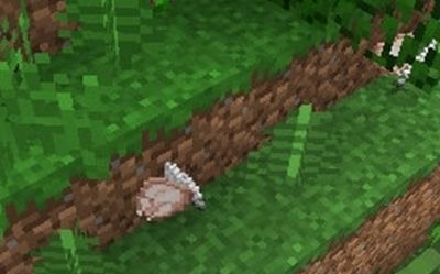 マイクラ 効果抜群 ヤマネコの見つけ方を発見しました 238 オロオロktのマイクラブログ マイクラ 効果抜群 ヤマネコの見つけ方を発見しました 238 オロオロktのマイクラブログ